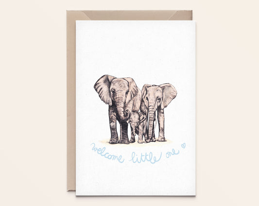 Elephant Family - kat-0114