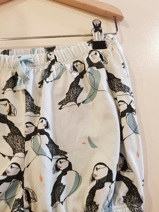 Skylight Puffin - Shorts